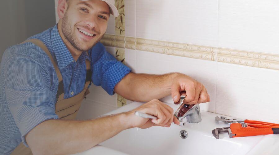 Faucet cartridge replacement in Palms, MI